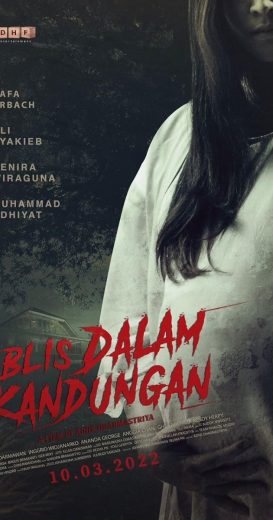 مشاهدة فيلم Devil in the Womb 2024 مترجم